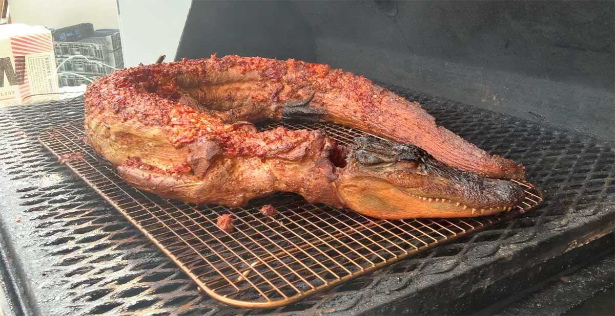 Whole smoked alligator Impress your guests with this on the beast on the grill!